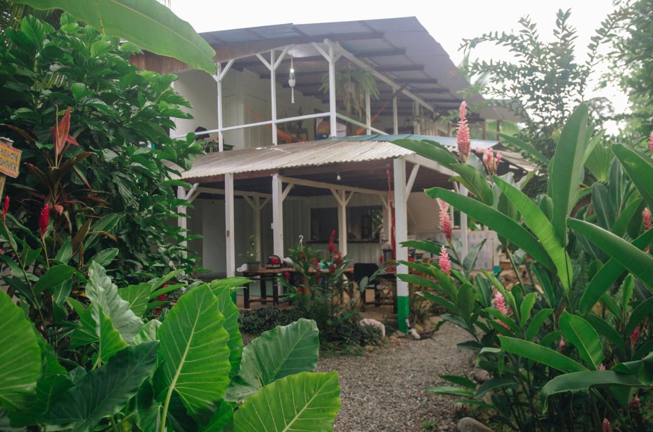 Casa Bohoe Puerto Viejo de Talamanca Exteriör bild