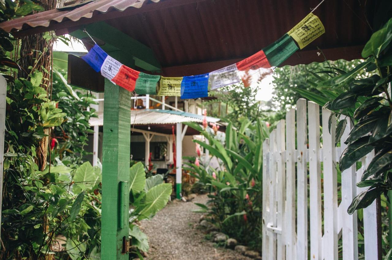 Casa Bohoe Puerto Viejo de Talamanca Exteriör bild